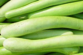 Bottle Gourd: Traditional Chinese Medicine Benefits & Uses