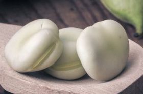 Fava Bean_Fava Bean Benefits and Uses