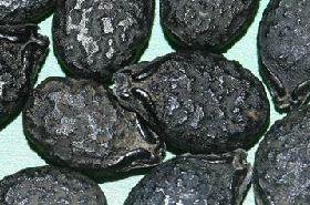 Luffa Seeds: Benefits & Uses in Traditional Chinese Medicine