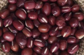 Adzuki Bean: Benefits and Uses in Traditional Chinese Medicine
