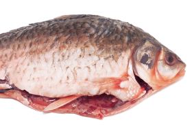 Carp: Traditional Chinese Medicine Uses, Benefits & Formulas