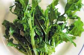 Shepherd's Purse_Shepherd's Purse Benefits and Uses