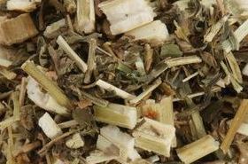 Motherwort: Benefits, Uses, and Traditional Applications