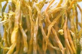 Worm-Eaten Bamboo Shoot_Benefits and Uses of Worm-Eaten Bamboo Shoot