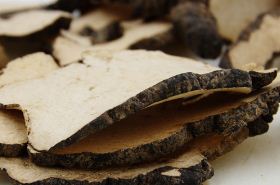 Zhu Ling: Benefits and Uses