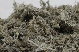 Yinchen: Capillary Wormwood Benefits & Uses