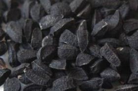 Black Cumin Seed: Benefits and Traditional Uses