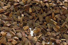 Motherwort Fruit_Benefits and Uses of Chong Wei Zi in TCM