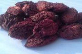 Xiaoye Lian: Actions & Indications in Traditional Chinese Medicine