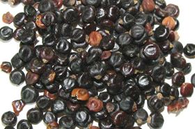 Shui Hong Hua Zi: Benefits & Uses in Traditional Chinese Medicine