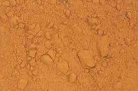 Spora Lygodii: Actions, Indications, and Traditional Uses
