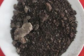 Goat Blood: Benefits and Traditional Uses in TCM
