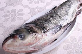 Silver Carp: Benefits and Traditional Uses