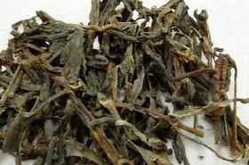 Dilong (Earthworm) - Efficacy and Actions