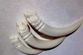 Ivory in Traditional Chinese Medicine: Benefits and Uses