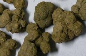 Xia Tian Wu: Benefits, Uses, and Traditional Chinese Medicine Applications