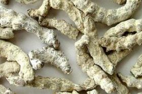 Bombyx Batryticatus (Stiff Silkworm): Benefits and Uses