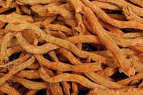Danshen: Benefits, Uses, and Traditional Insights