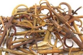 Gou Teng: Benefits, Uses, and Dosage in Traditional Chinese Medicine