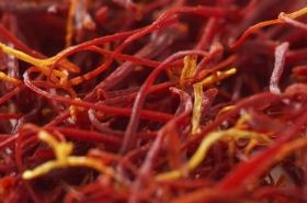 Safflower: Benefits, Uses, and Traditional Chinese Medicine Perspectives