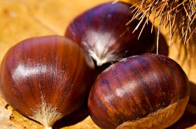 Chestnut Shell: Benefits & Uses in Traditional Chinese Medicine